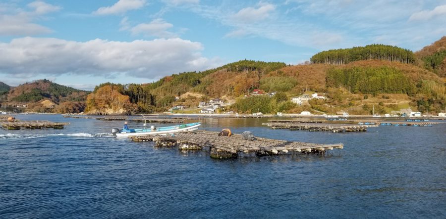 Karakuwa Oyster Farm Tour | VISIT MIYAGI