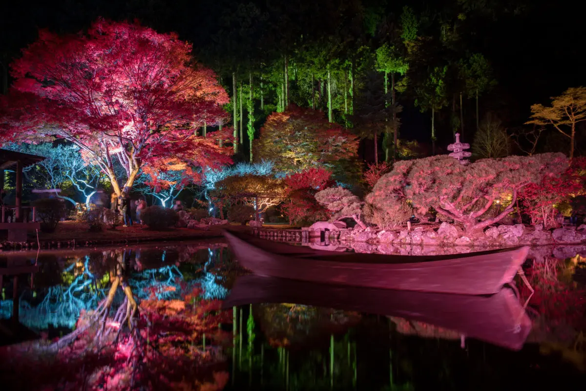 Autumn Leaves at Night | VISIT MIYAGI