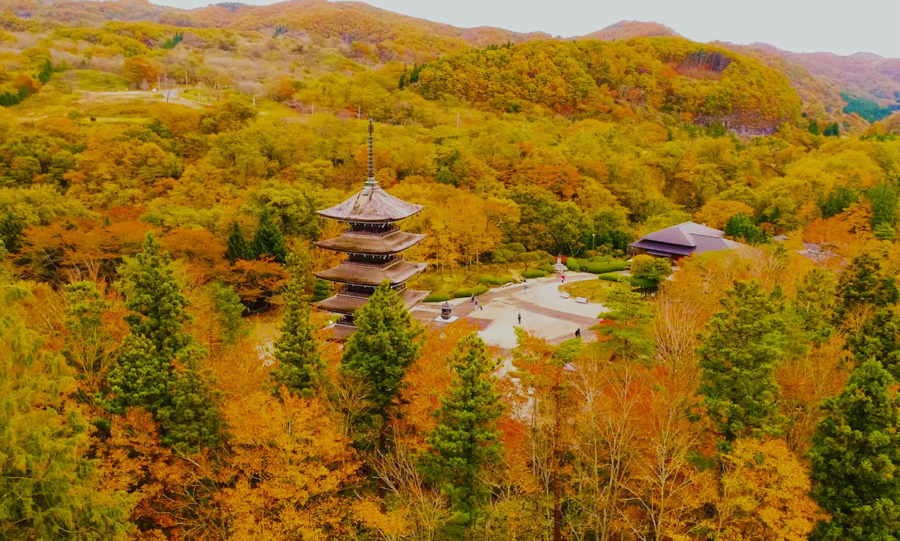 Do & See | VISIT MIYAGI