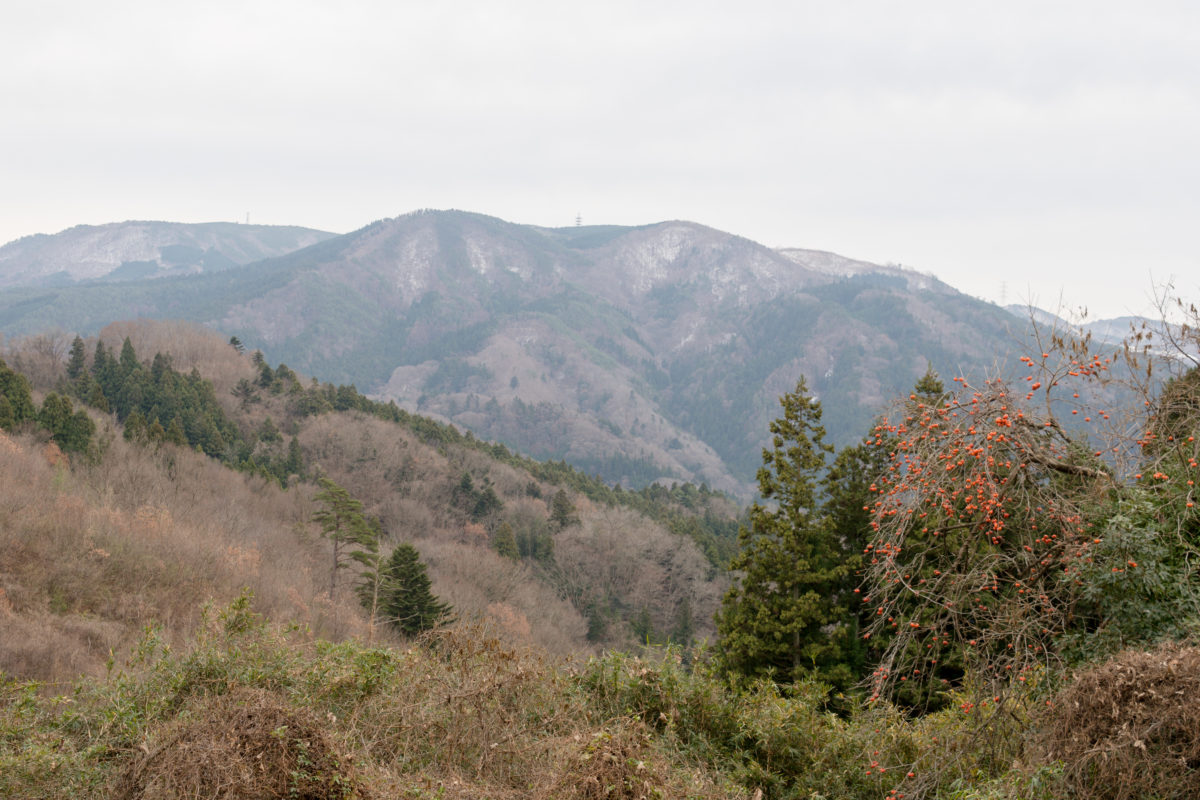 Cycling Marumori Countryside VISIT MIYAGI