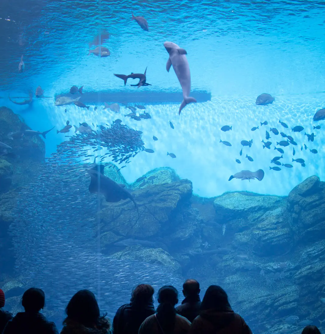 sendai umino mori aquarium