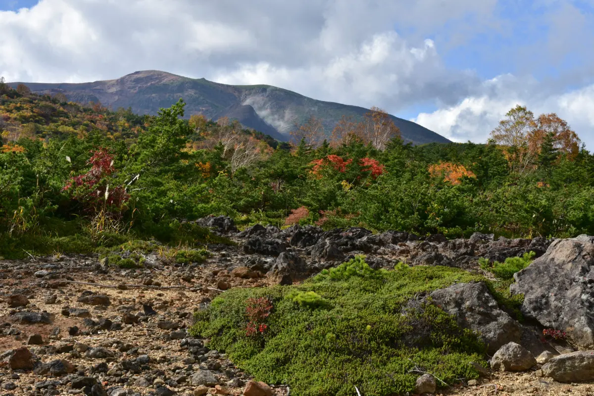 Cycling the Zao Highlands | VISIT MIYAGI