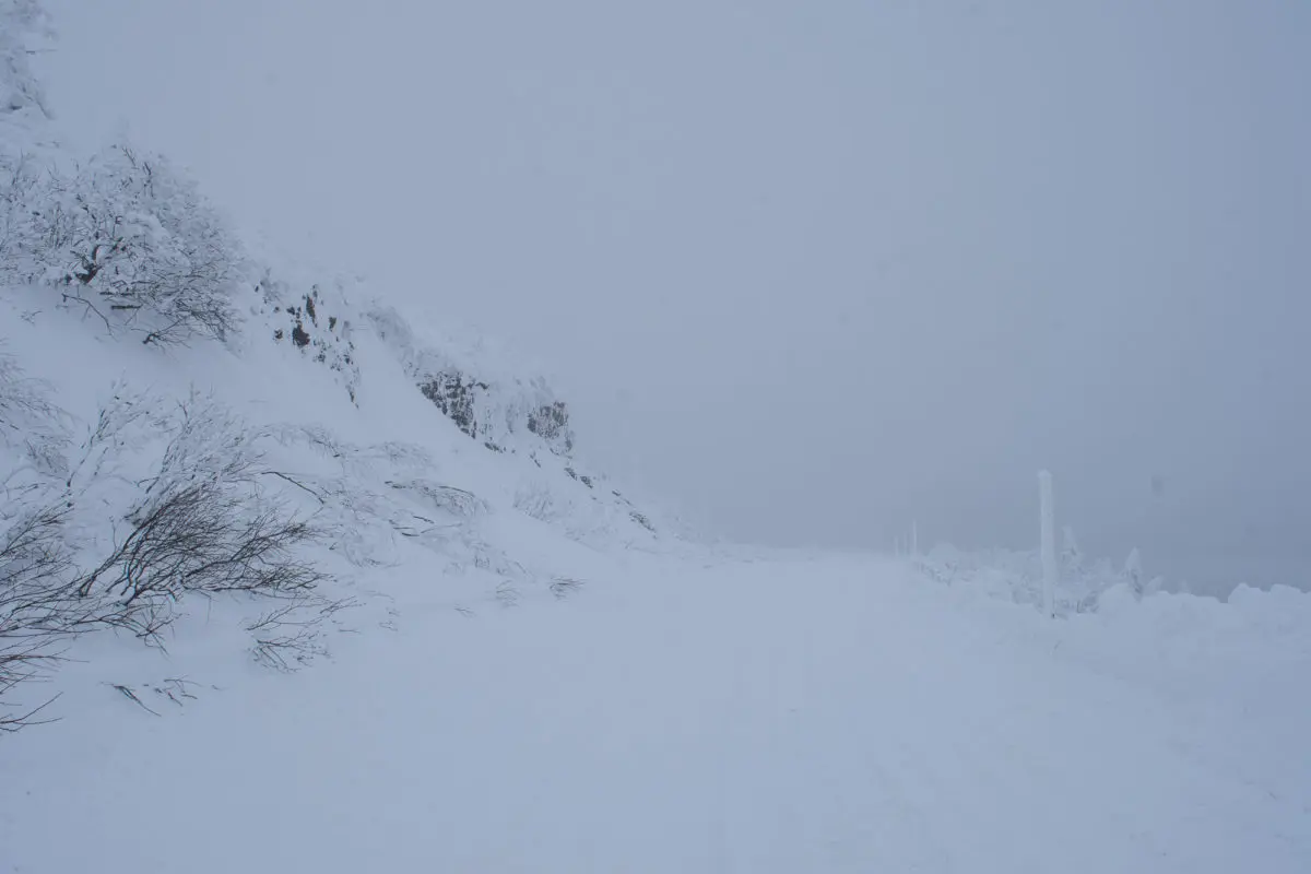 Winter Adventures on Mt. Zao | VISIT MIYAGI