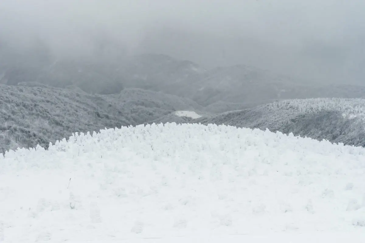Winter Adventures on Mt. Zao | VISIT MIYAGI